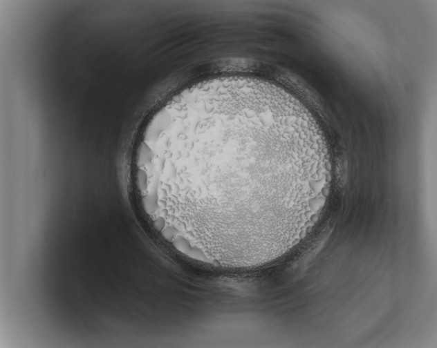 X0000100770725200807171411