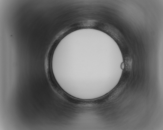 X0000100770726200807171411