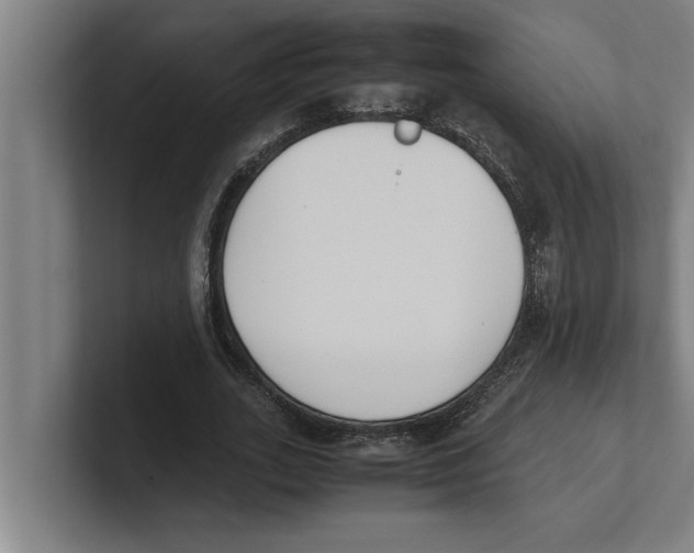 X0000100770727200807171411