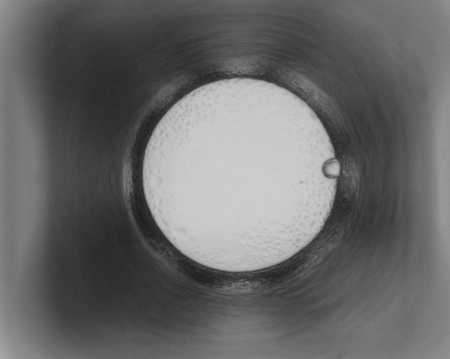 X0000100770734200807171411