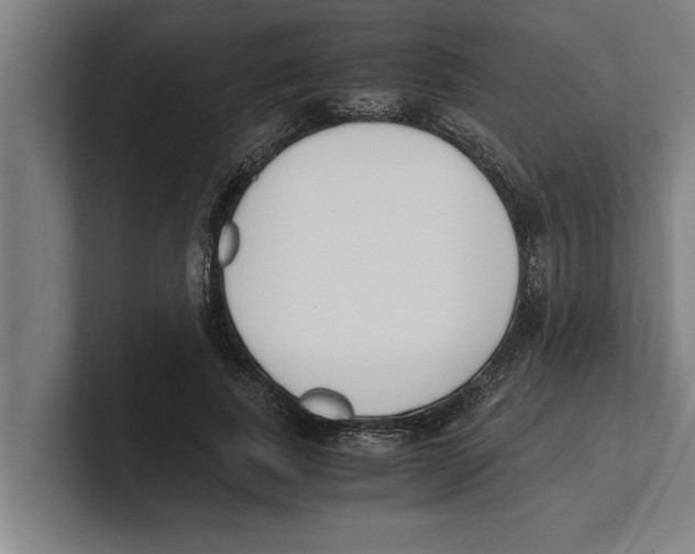X0000100770739200807171411