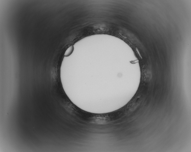 X0000100770756200807171411