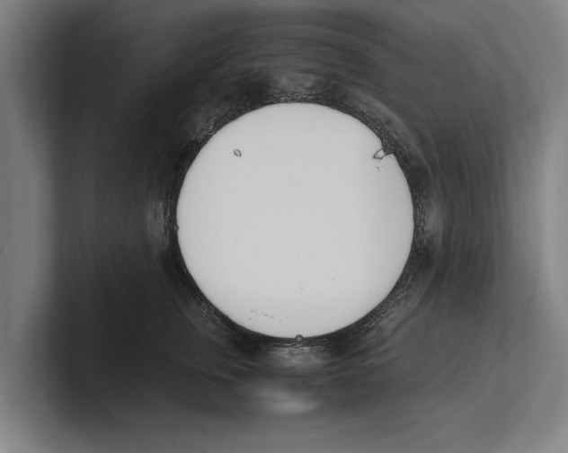 X0000100770759200807171411