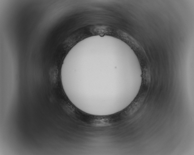 X0000100770760200807171411