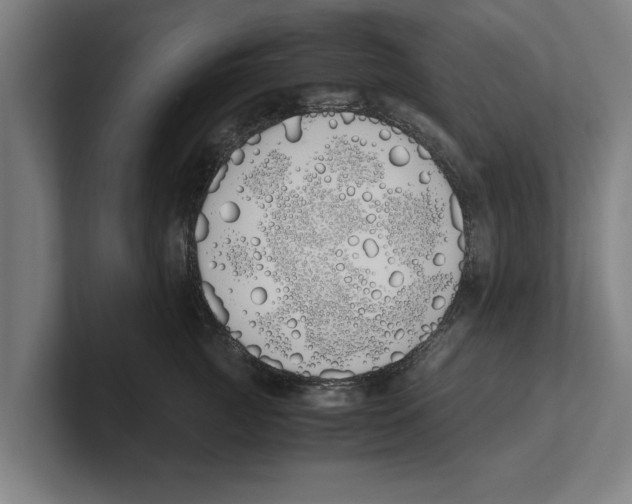 X0000100770761200807171411