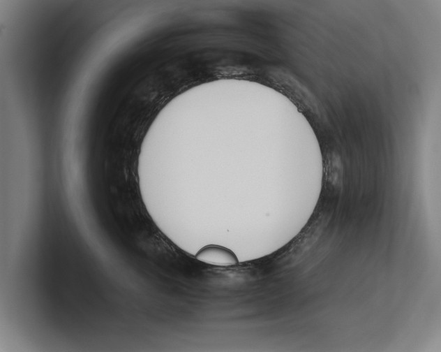 X0000100770763200807171411