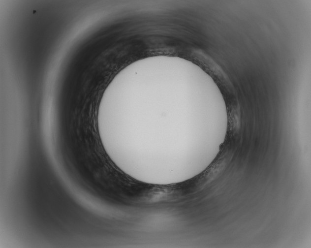 X0000100770764200807171411