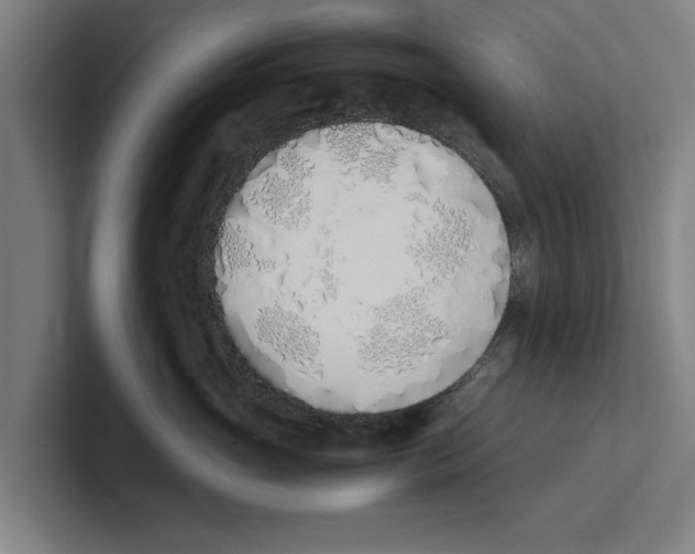 X0000100770765200807171411