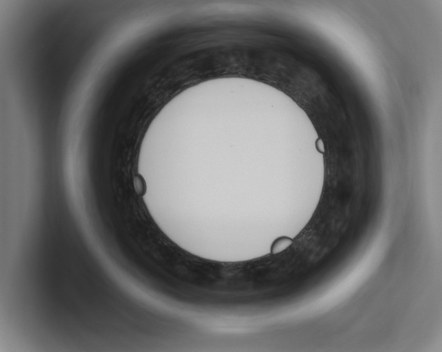 X0000100770766200807171411