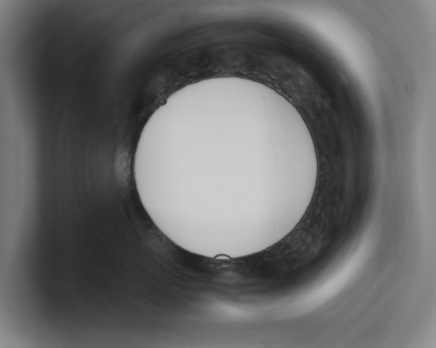 X0000100770767200807171411