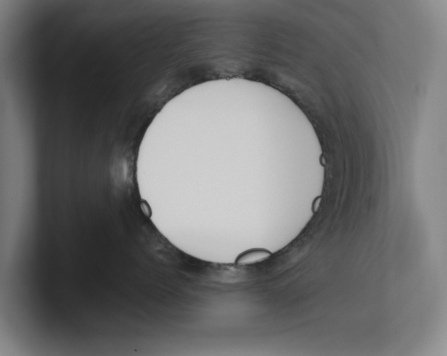 X0000100770768200807171411
