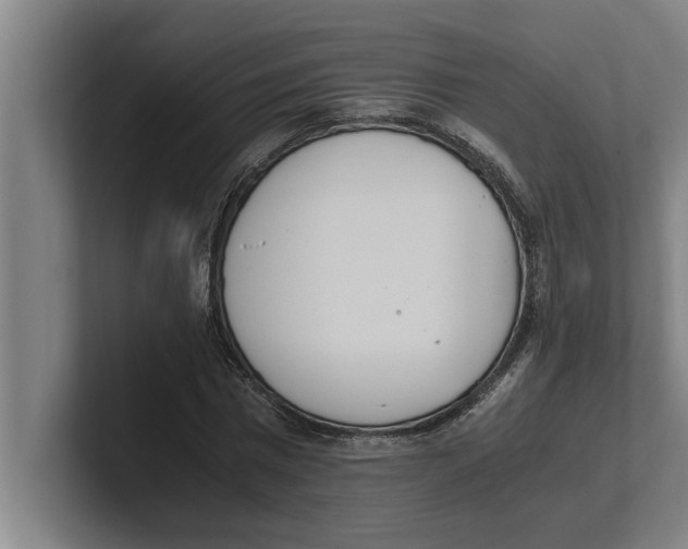 X0000100770777200807171411