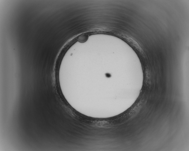 X0000100770784200807171411
