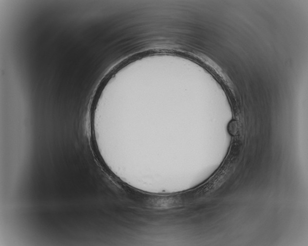 X0000100770791200807171410
