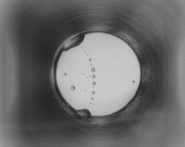 X0000100770796200807171410