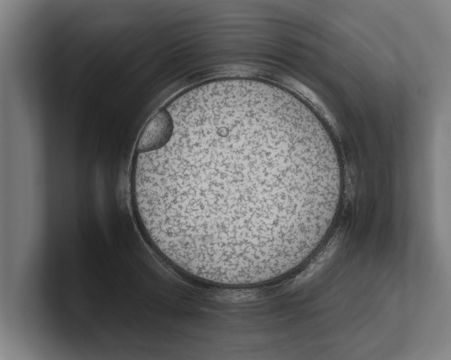 X0000100770802200807171410