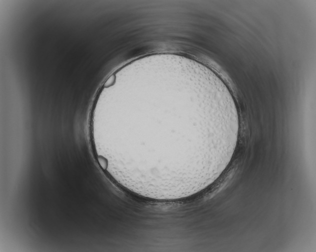X0000100770803200807171410