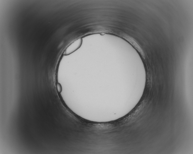 X0000100770805200807171410