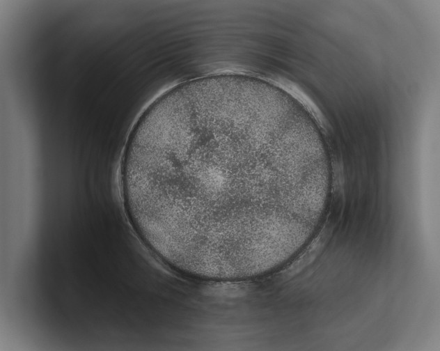 X0000100770806200807171410