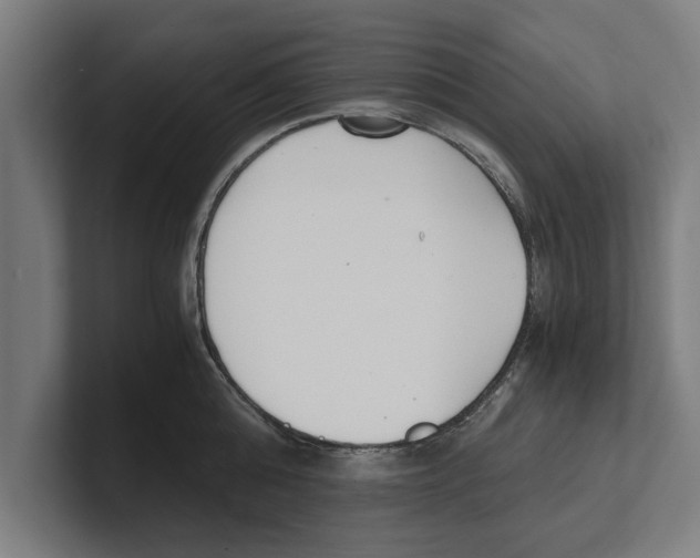 X0000100770808200807171410