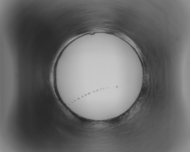 X0000100770811200807171410