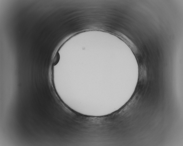 X0000100770812200807171410