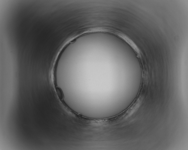 X0000100770813200807171410