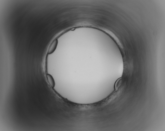 X0000100770815200807171410