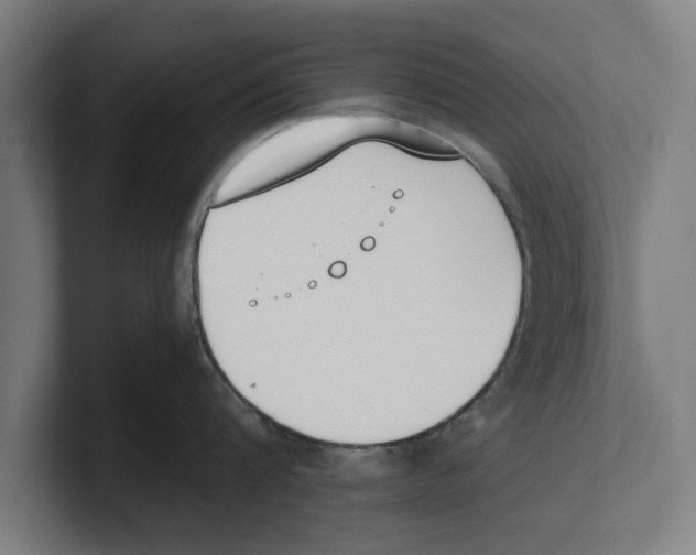 X0000100770816200807171410