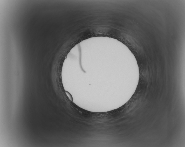 X0000100770817200807171409