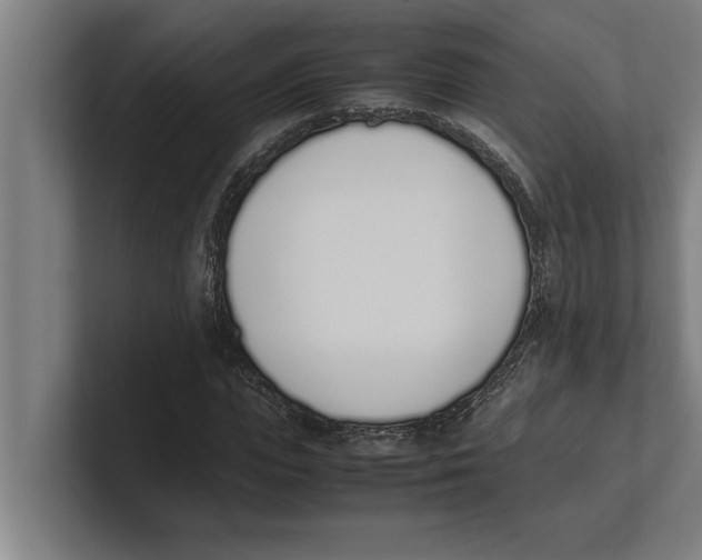 X0000100770823200807171409