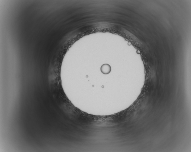 X0000100770824200807171410
