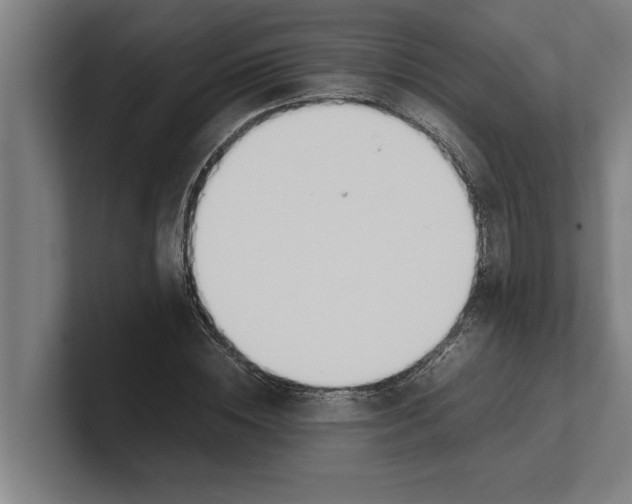 X0000100770828200807171410