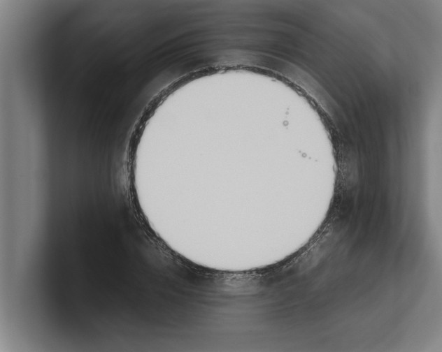 X0000100770832200807171410