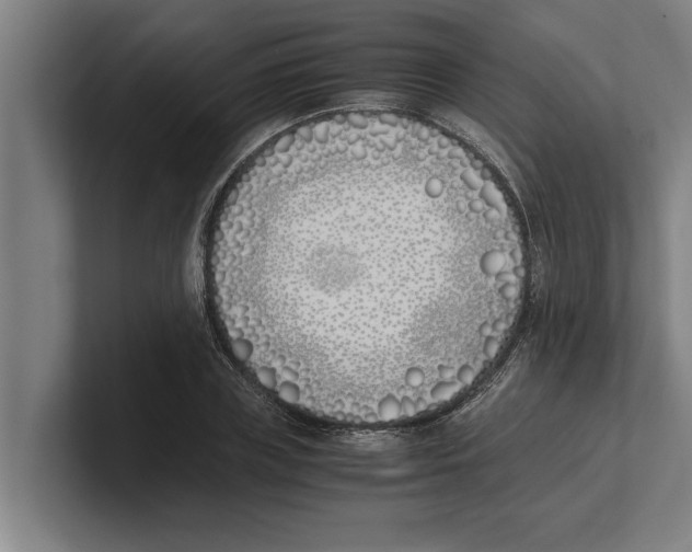 X0000100770835200807171410
