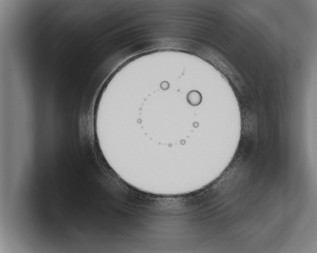 X0000100770836200807171410
