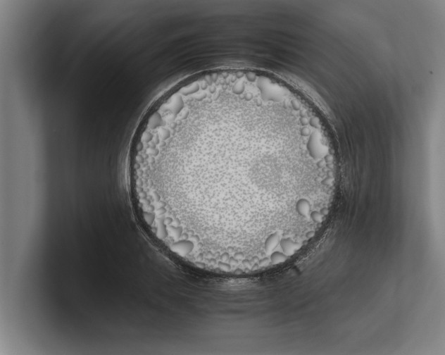 X0000100770839200807171410