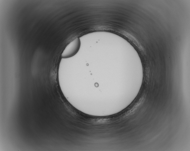 X0000100770841200807171410