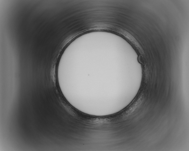 X0000100770842200807171410