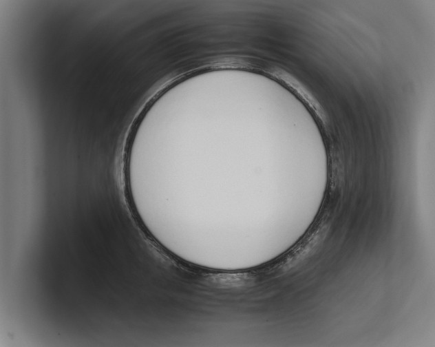 X0000100770853200807171410