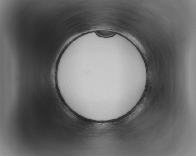 X0000100770854200807171410