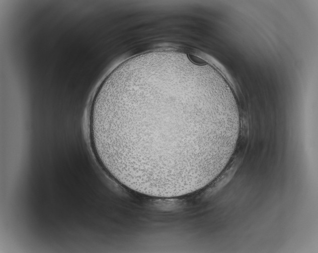 X0000100770859200807171410
