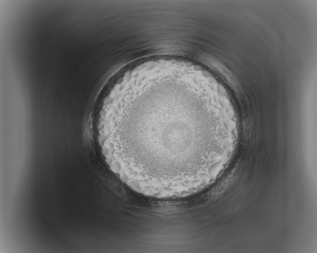 X0000100770875200807171409
