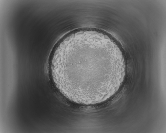 X0000100770879200807171409