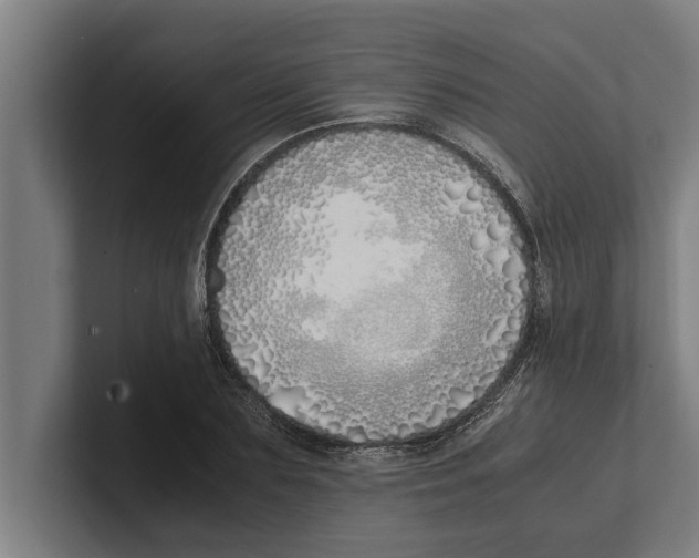 X0000100770883200807171409