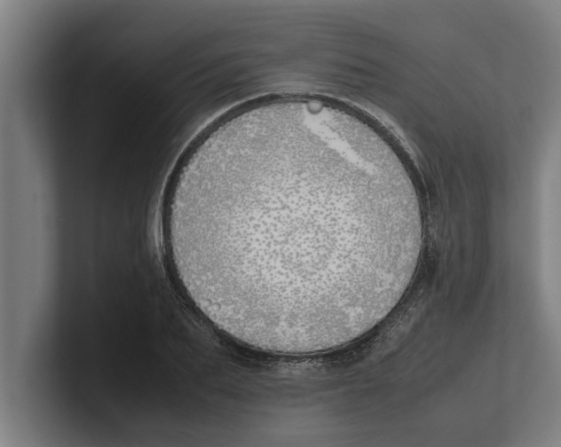 X0000100770887200807171409