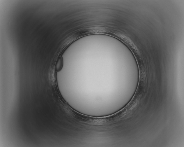 X0000100770889200807171409