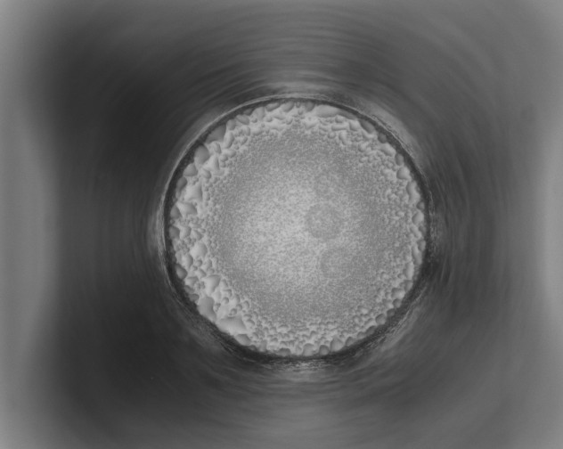 X0000100770891200807171409