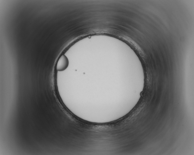 X0000100770894200807171409