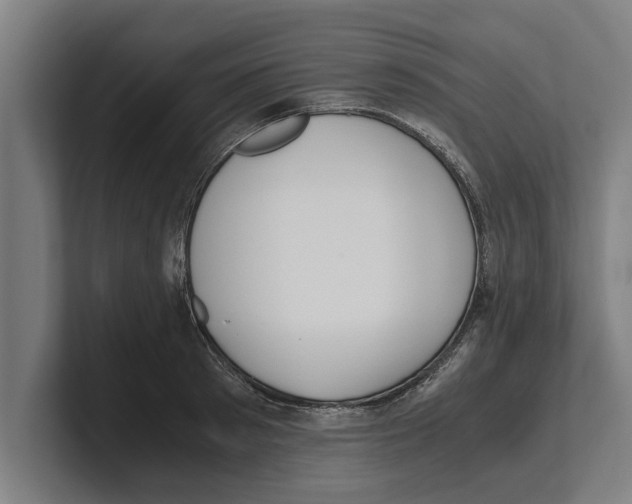 X0000100770897200807171409